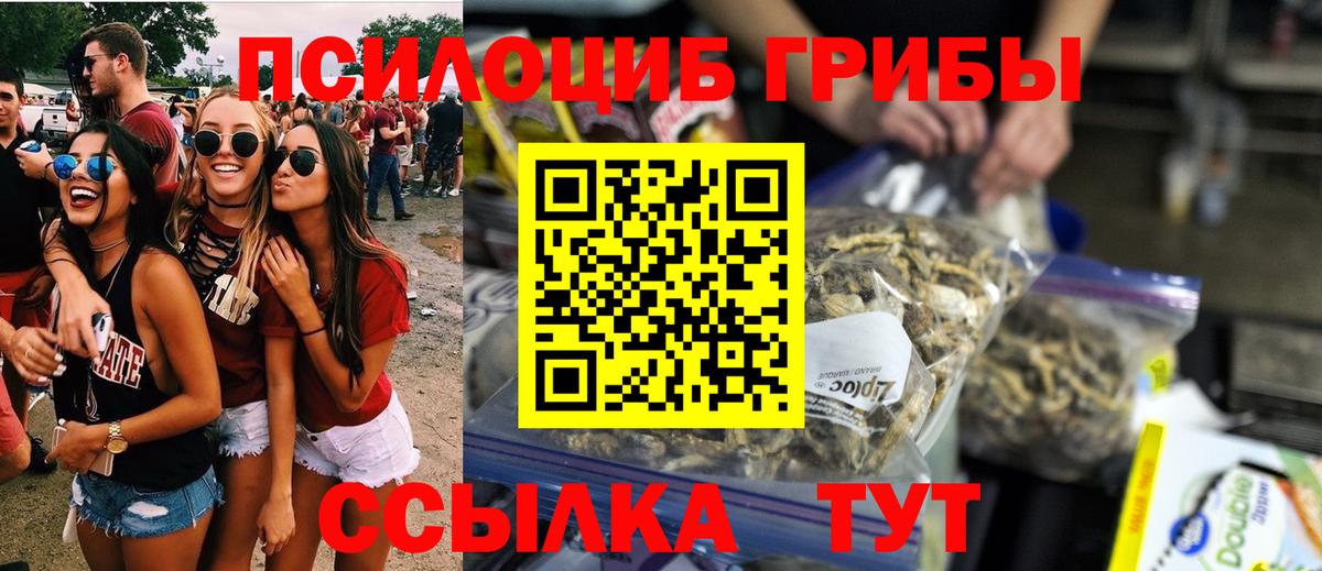 продажа наркотиков  Вход с VPN  Галлюциногенные грибы ЛСД  Донской  Галлюциногенные грибы Magic Shrooms 
