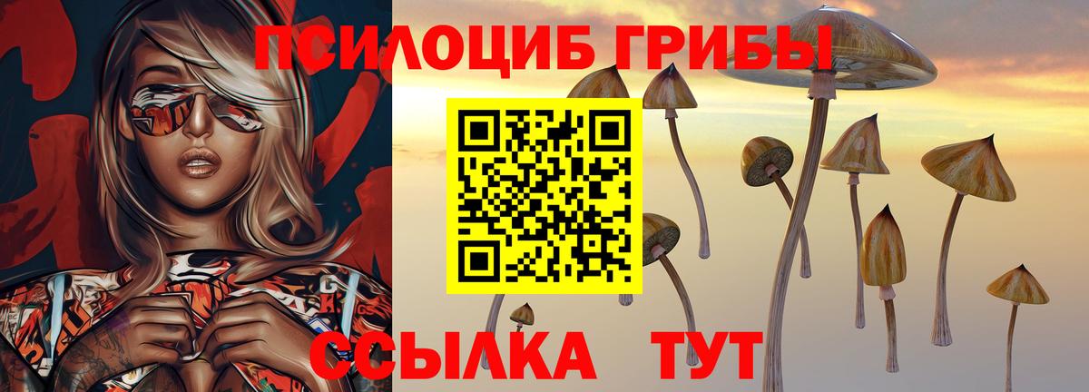 Лсд 25 Донской